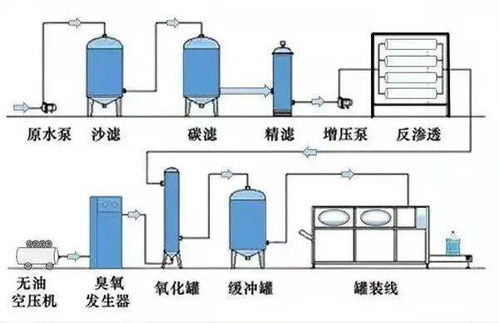 未開封瓶裝礦泉水驚現蛆蟲 飲用水安全與零售業監管的警示